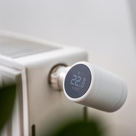 Edler Wohnraum Schwanenteich-Suite Mit Balkon, Kaffeevollautomat, Lift & Parkplatz Zwickau Esterno foto